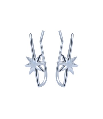 Silver Earrings EL-3598